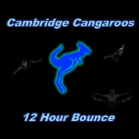 Twelve hour bounce 2015