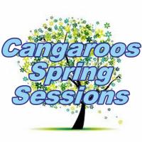 Spring Term 2013