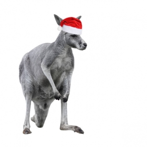 Xmas Holiday dates